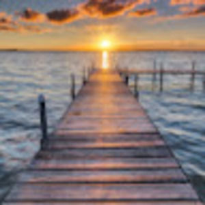 Meet your Posher, Sophia